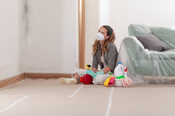 Reliable Mold Remediation contractor in Union Bridge, MD by WQB Mold Removal